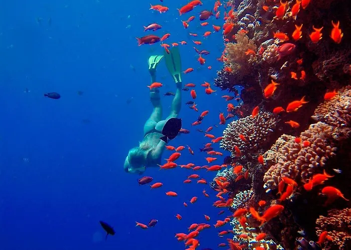 The Breakers Diving And Surfing Soma Bay 4* Gurdaka
