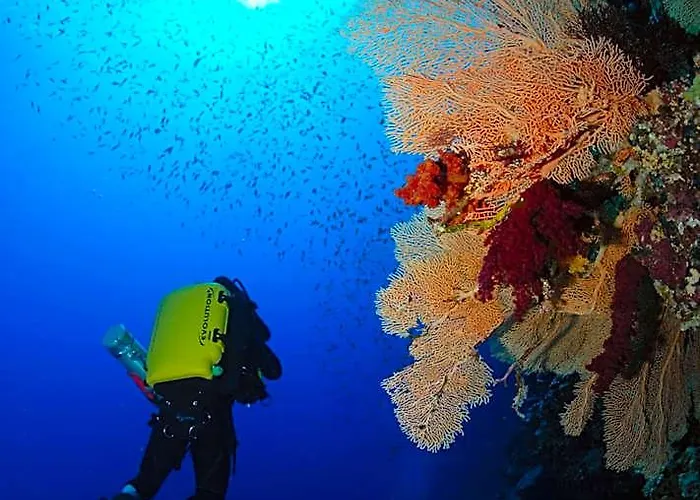 The Breakers Diving And Surfing Soma Bay 4*
