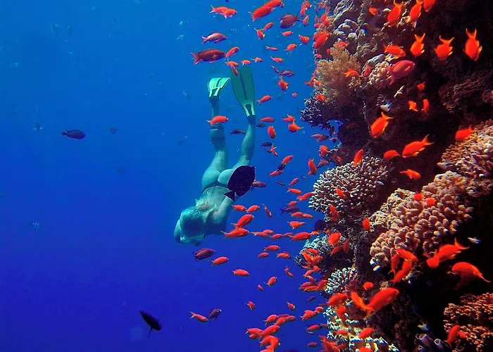 The Breakers Diving And Surfing Soma Bay